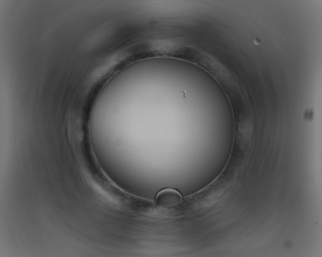 X0000093380734200710111455
