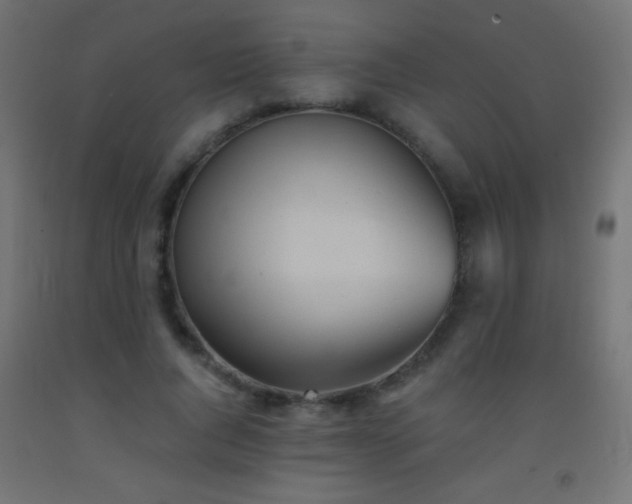 X0000093380736200710111455