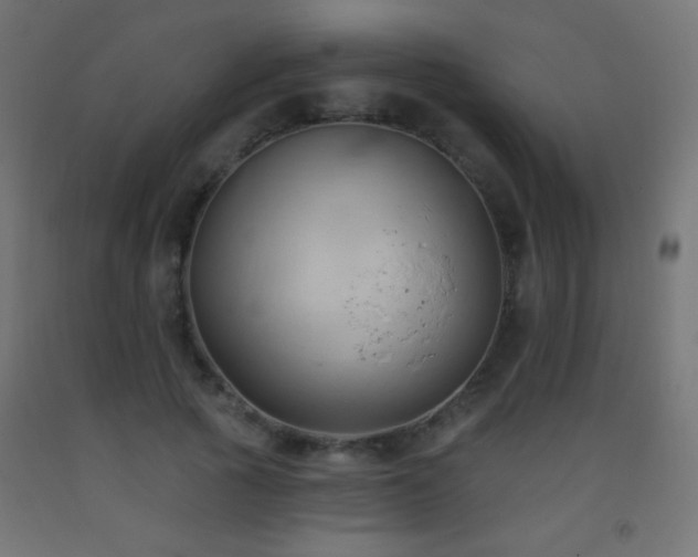 X0000093380737200710111455