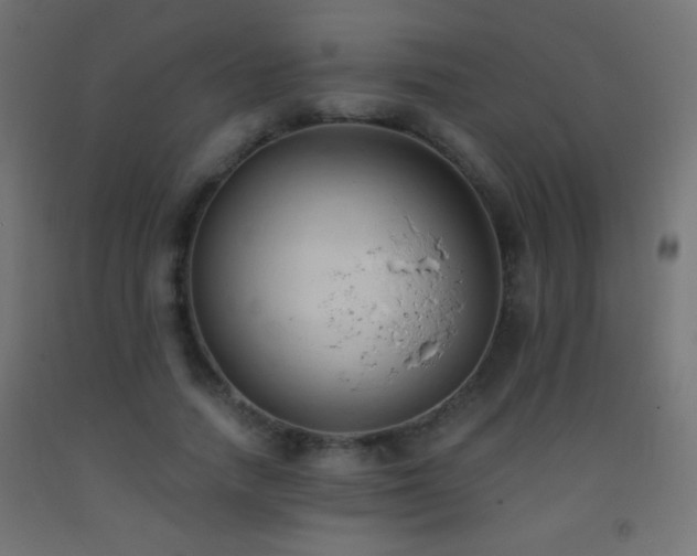 X0000093380738200710111455