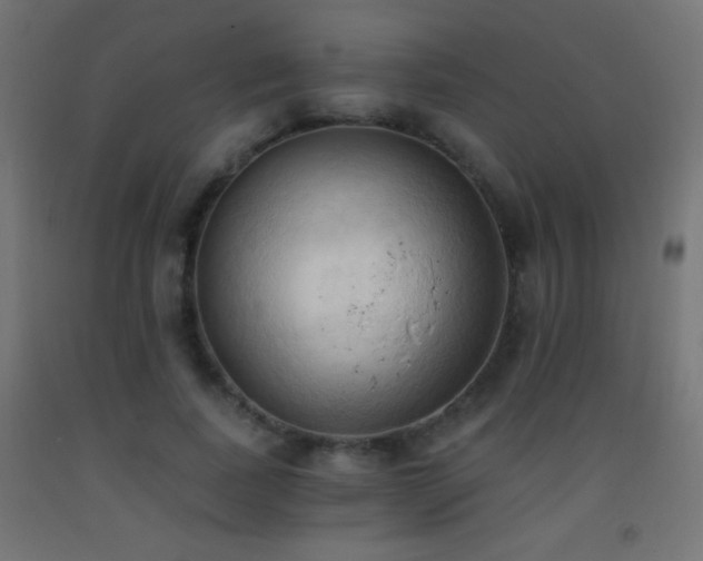 X0000093380739200710111455