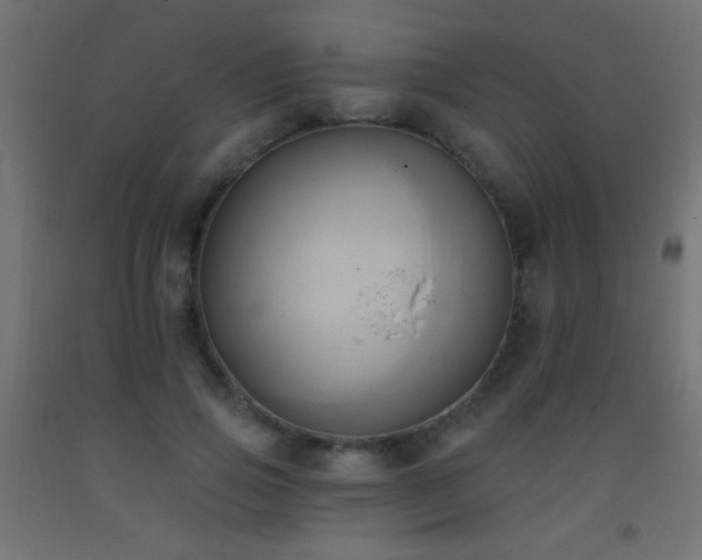 X0000093380741200710111455