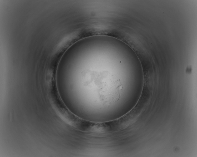 X0000093380742200710111455