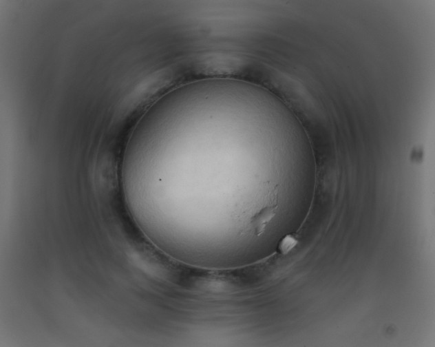 X0000093380743200710111455