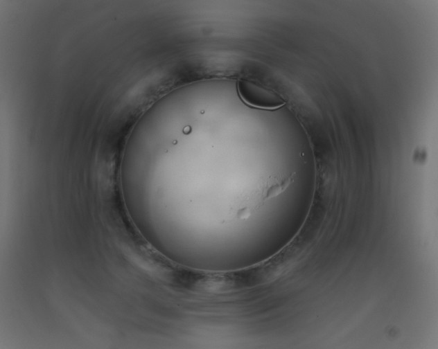 X0000093380745200710111455