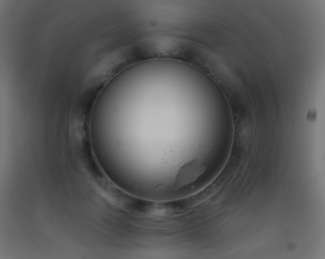 X0000093380746200710111455