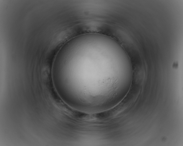 X0000093380747200710111455