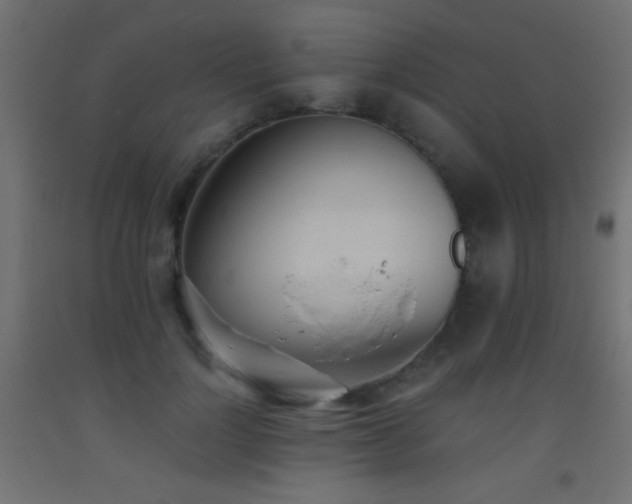 X0000093380748200710111455