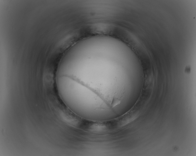 X0000093380749200710111455