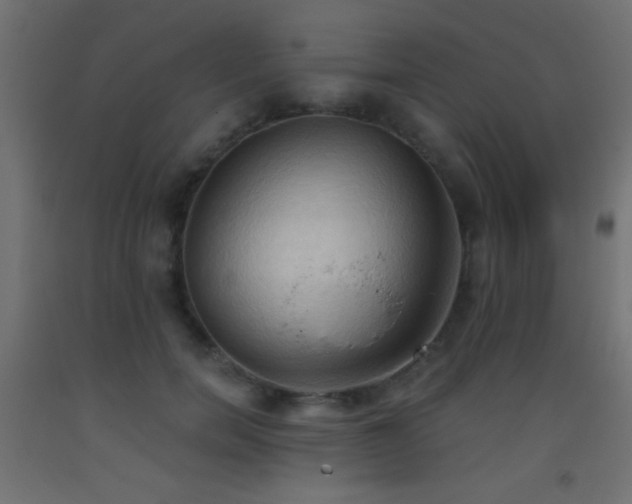 X0000093380750200710111455