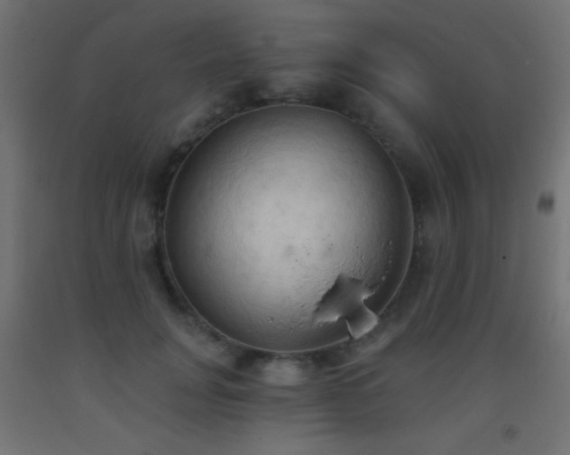 X0000093380751200710111455