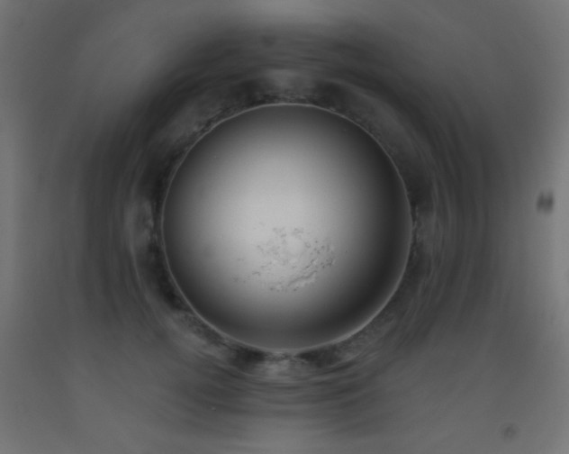 X0000093380752200710111455