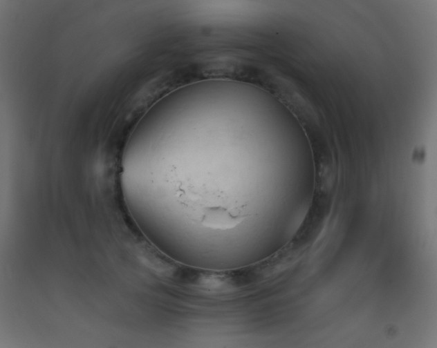 X0000093380753200710111455