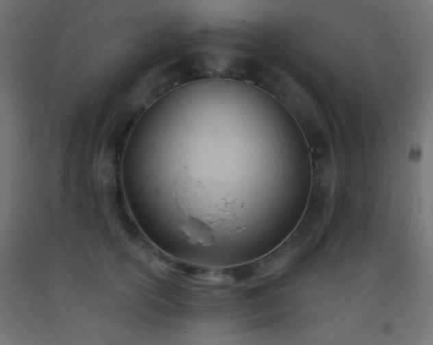 X0000093380754200710111455