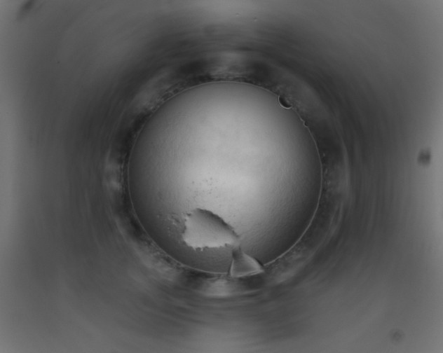 X0000093380755200710111455
