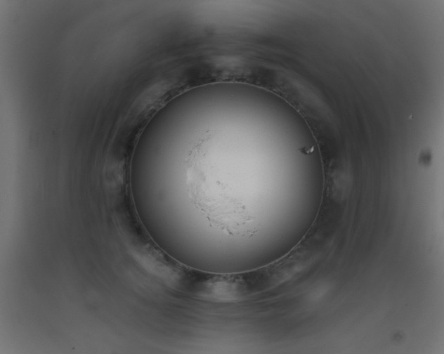 X0000093380756200710111455