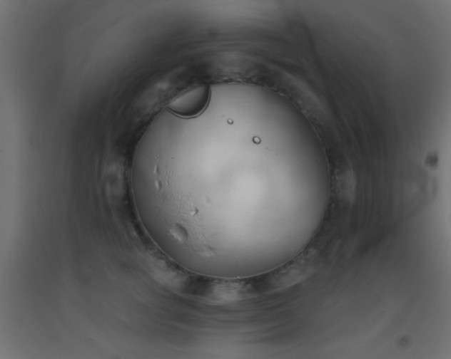 X0000093380757200710111455