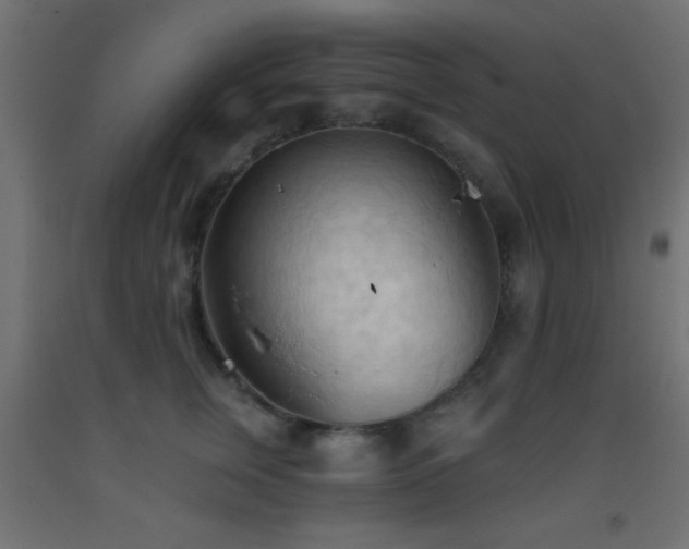 X0000093380759200710111455