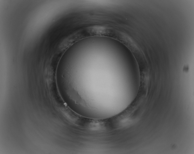 X0000093380760200710111455