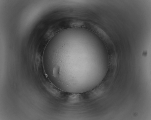 X0000093380761200710111455