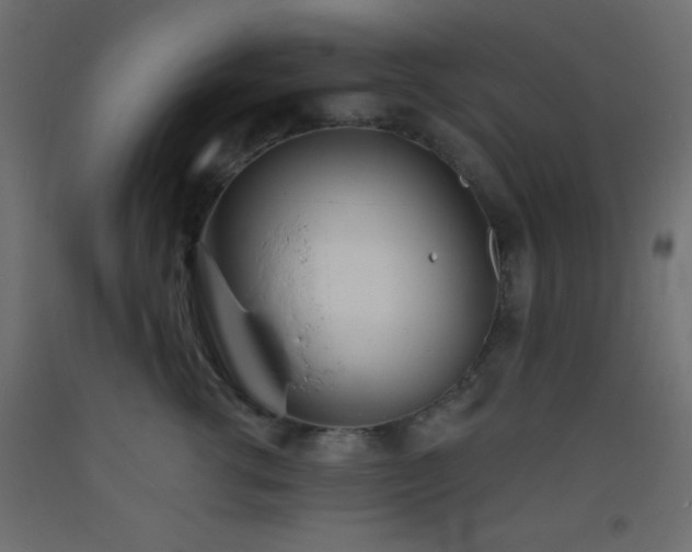 X0000093380762200710111455
