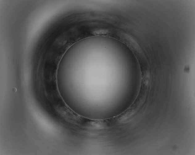 X0000093380763200710111455