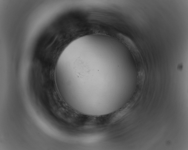 X0000093380765200710111455