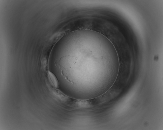 X0000093380767200710111455