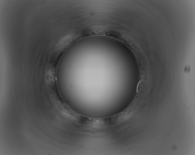 X0000093380768200710111455