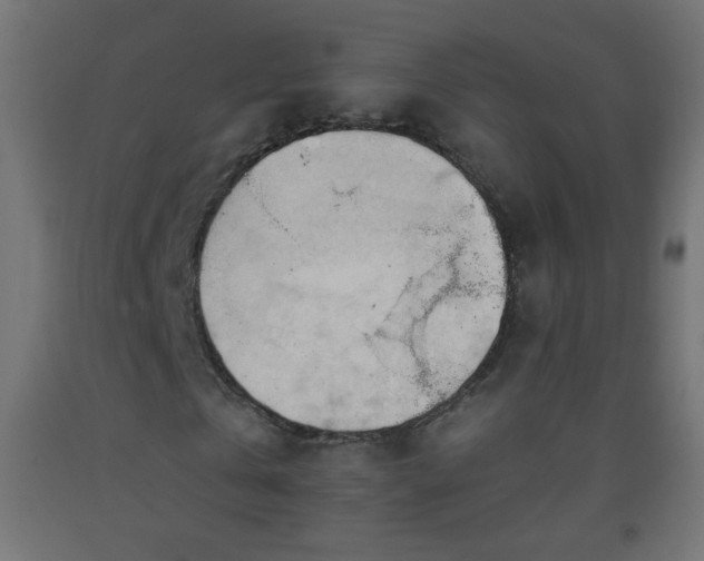 X0000093380769200710111455