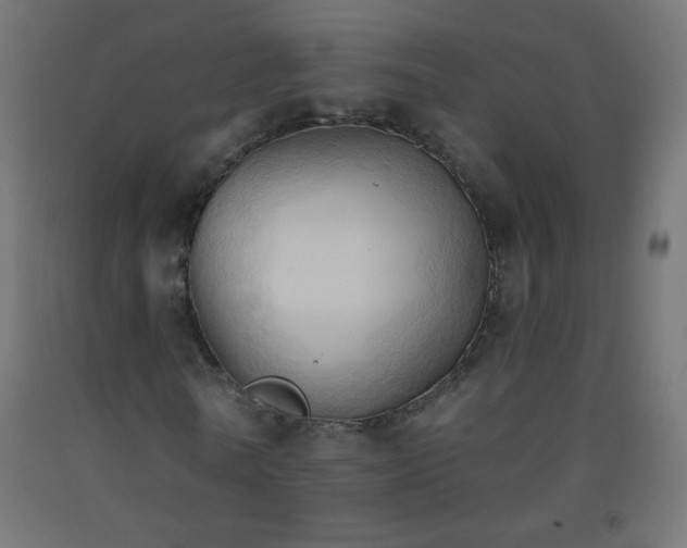 X0000093380770200710111454