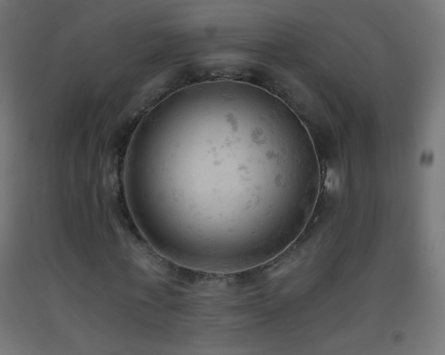 X0000093380771200710111454