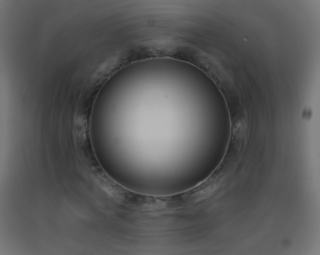 X0000093380772200710111454