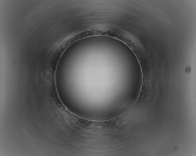 X0000093380773200710111454