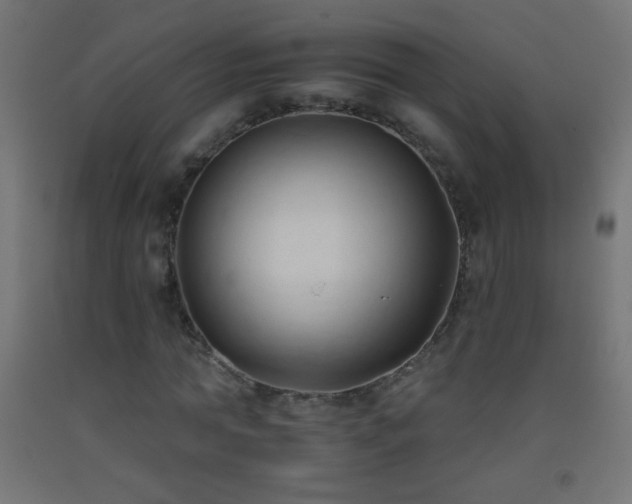 X0000093380774200710111454