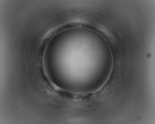 X0000093380775200710111454