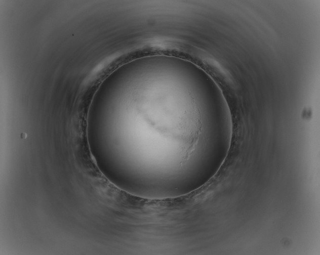 X0000093380776200710111454
