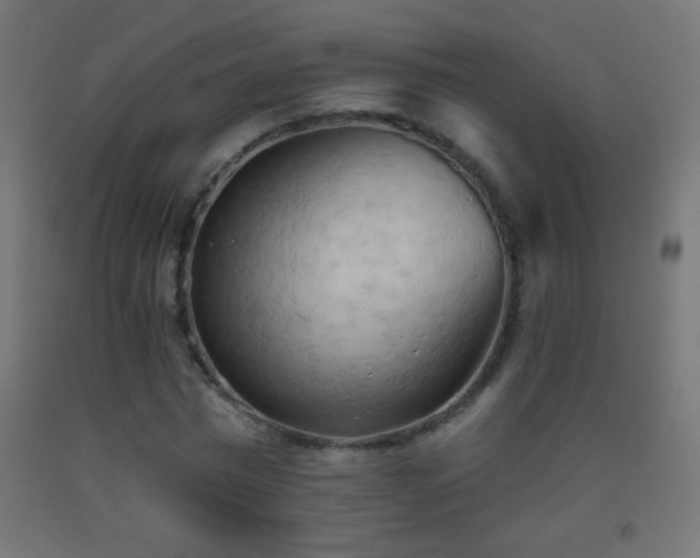 X0000093380777200710111454