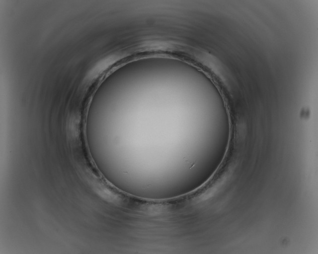 X0000093380778200710111454