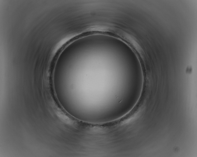 X0000093380779200710111454