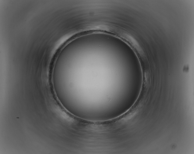 X0000093380780200710111454