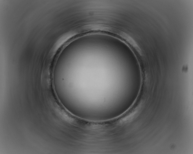X0000093380782200710111454