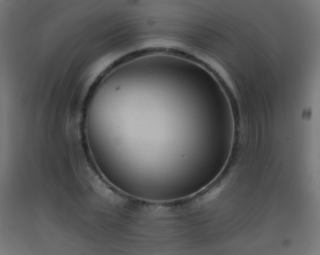 X0000093380783200710111454