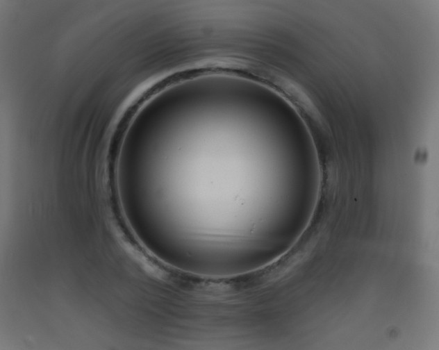 X0000093380784200710111454