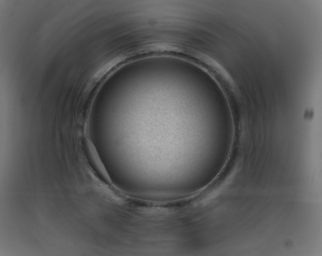 X0000093380785200710111454
