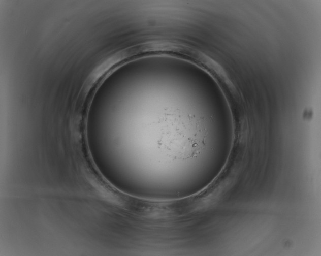 X0000093380786200710111454