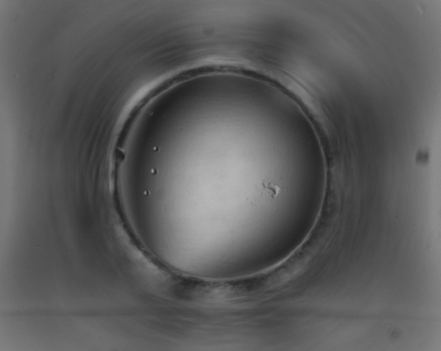 X0000093380791200710111454