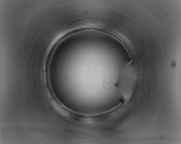 X0000093380792200710111454
