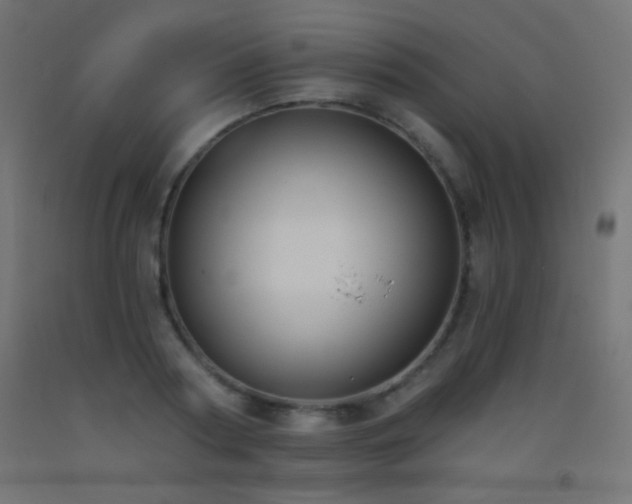 X0000093380794200710111454