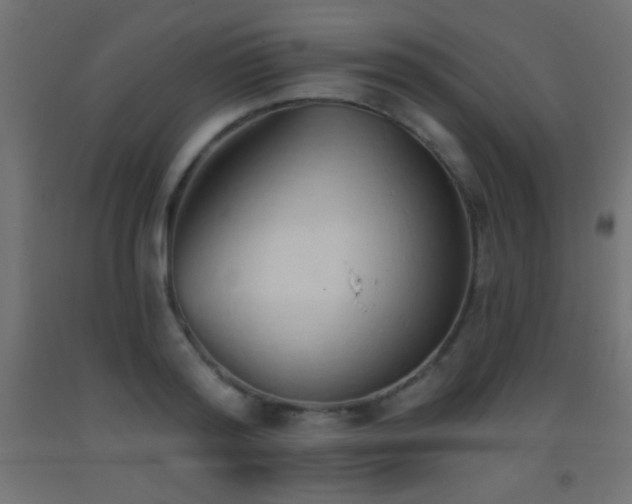 X0000093380796200710111454